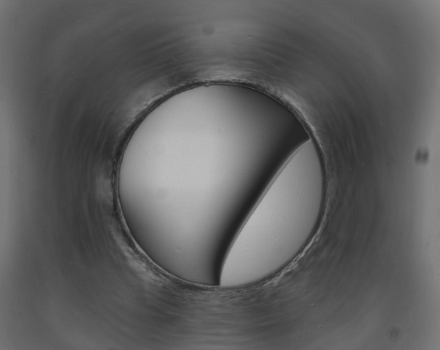 X0000093720345200710160756