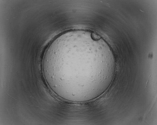 X0000093720347200710160756