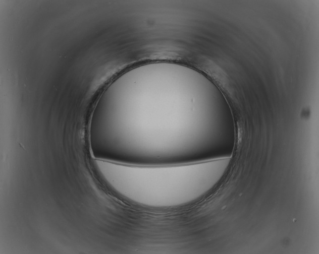 X0000093720348200710160756