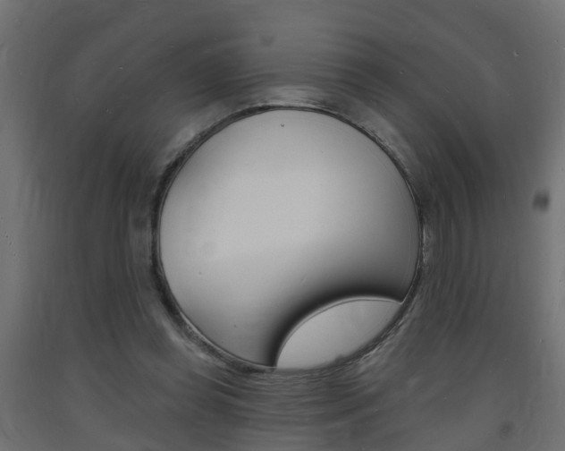 X0000093720349200710160756