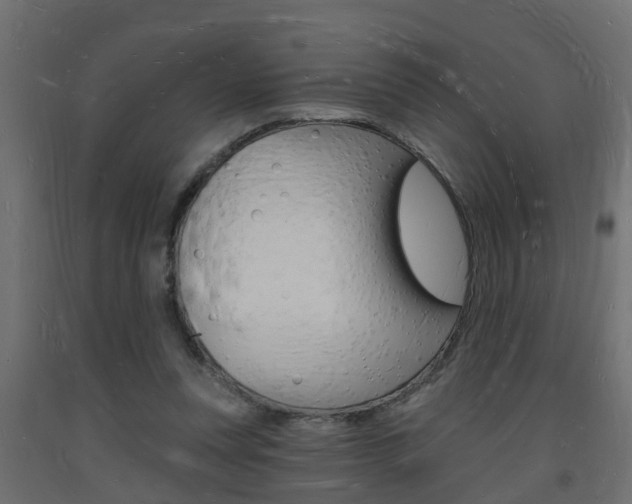 X0000093720351200710160756