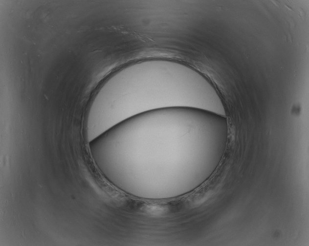 X0000093720352200710160756