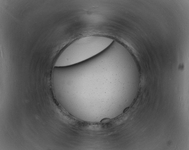 X0000093720353200710160756