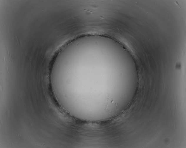 X0000093720354200710160756