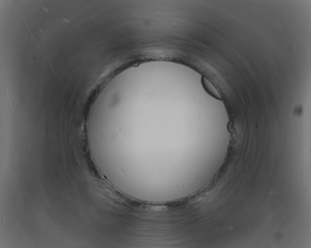 X0000093720355200710160756