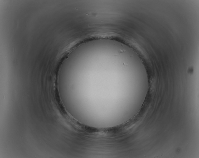 X0000093720356200710160756