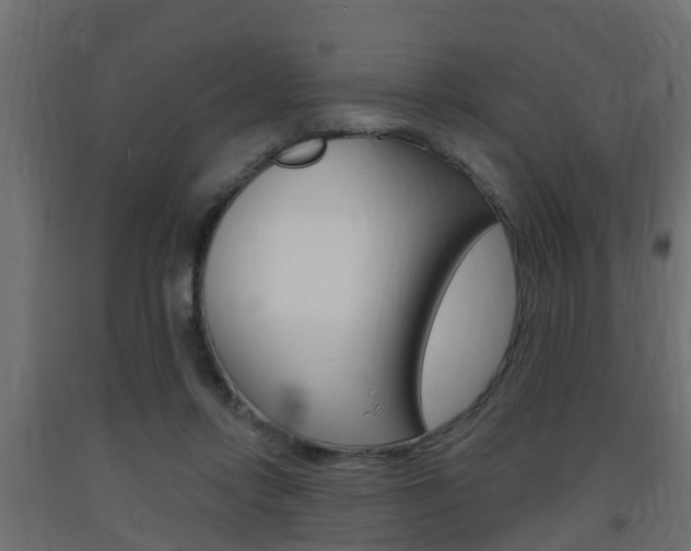 X0000093720358200710160756