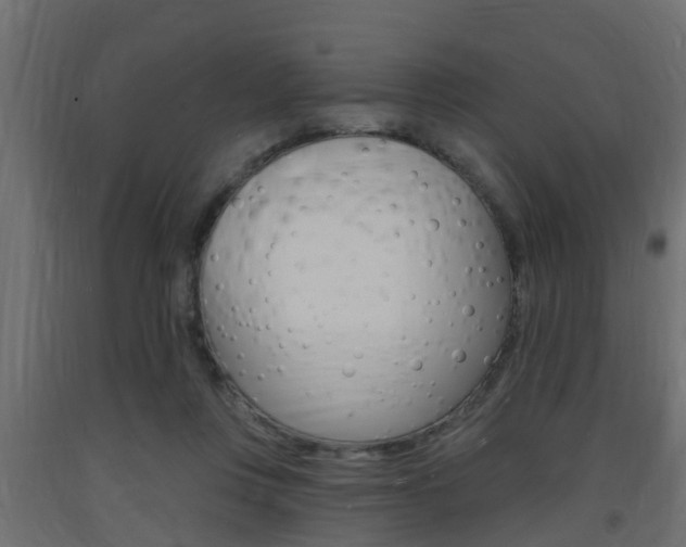 X0000093720359200710160756