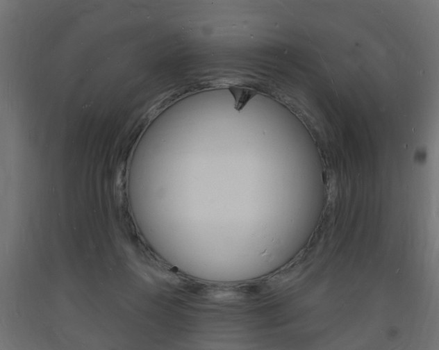 X0000093720360200710160756