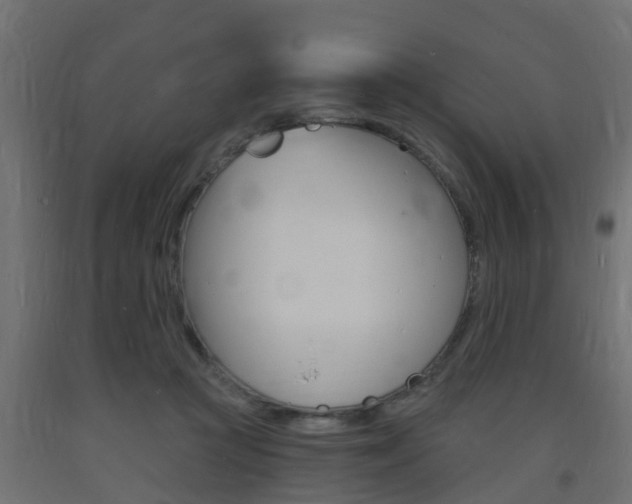 X0000093720361200710160756