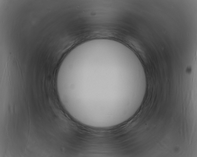 X0000093720362200710160756