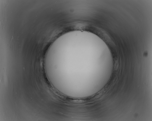 X0000093720363200710160756