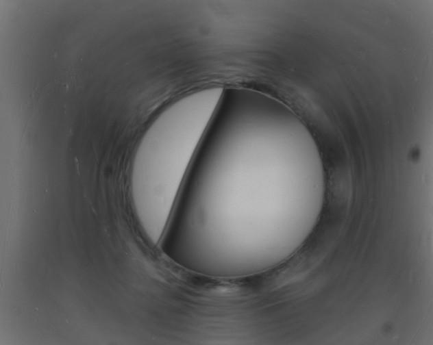 X0000093720364200710160756