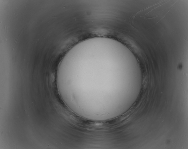 X0000093720365200710160756