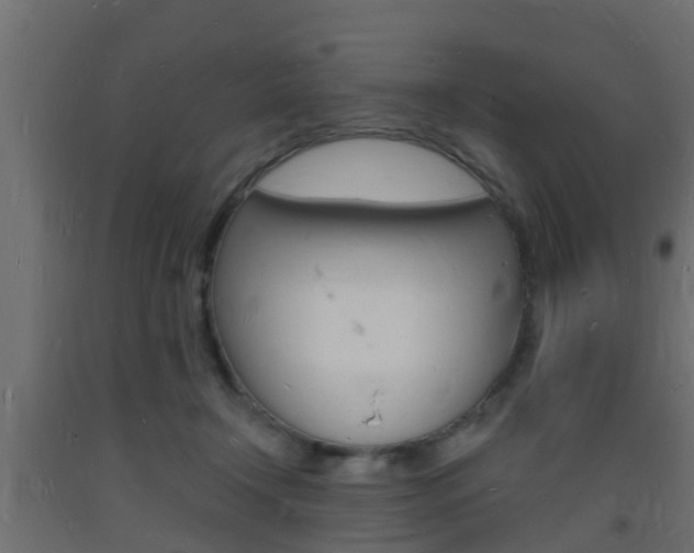 X0000093720366200710160756