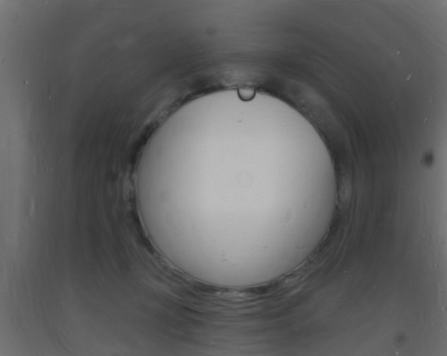 X0000093720367200710160756