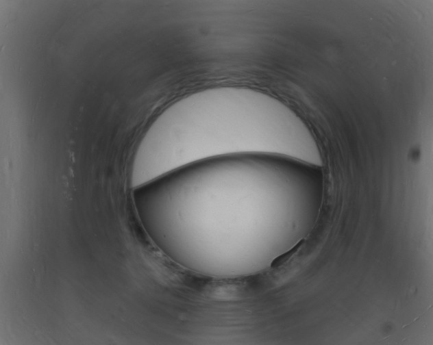 X0000093720368200710160756