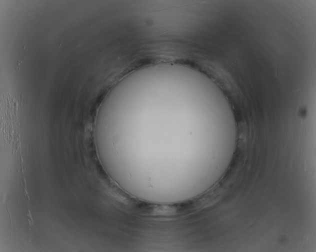 X0000093720369200710160756