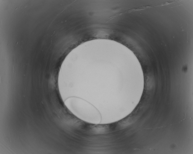 X0000093720370200710160756