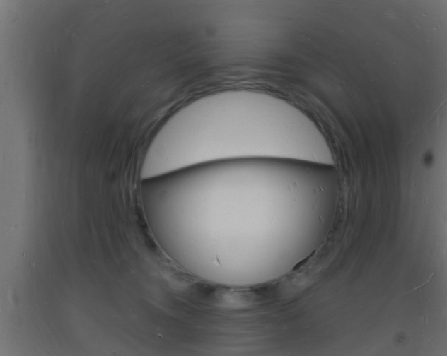 X0000093720372200710160756