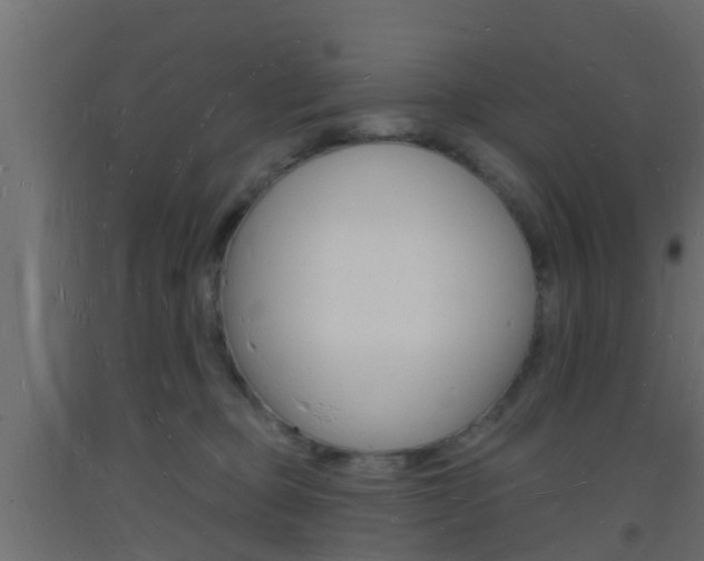 X0000093720373200710160756