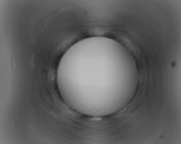 X0000093720374200710160756