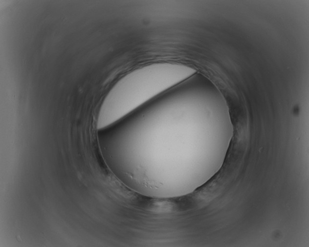 X0000093720376200710160756