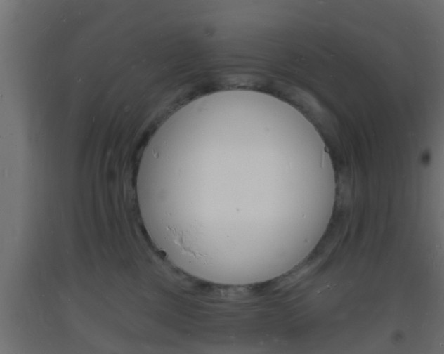 X0000093720377200710160756