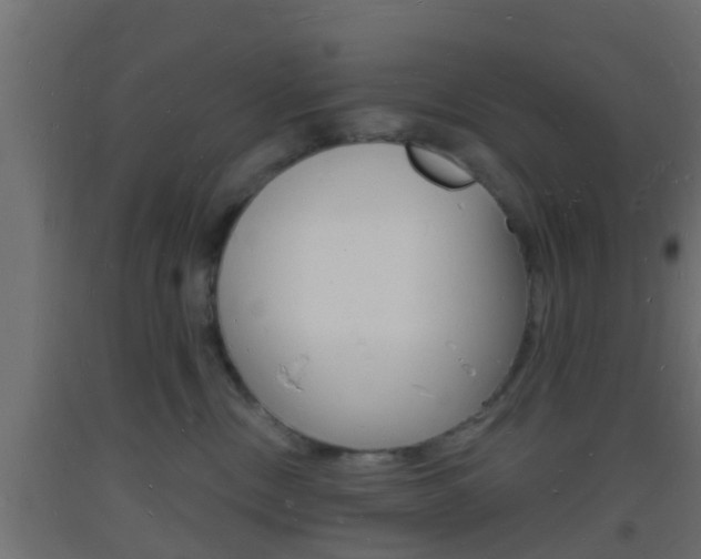 X0000093720378200710160756