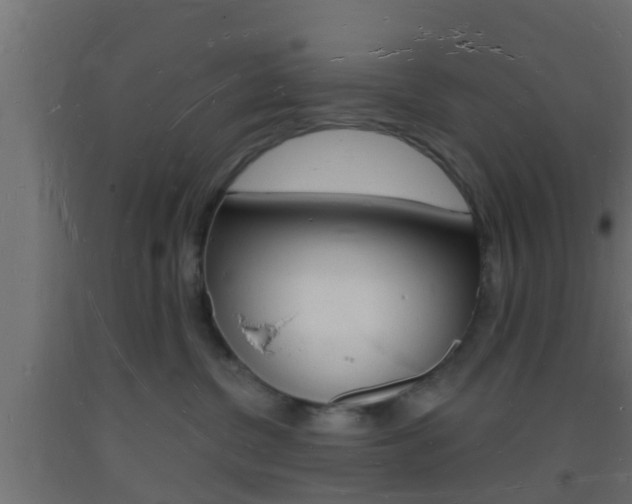 X0000093720380200710160756