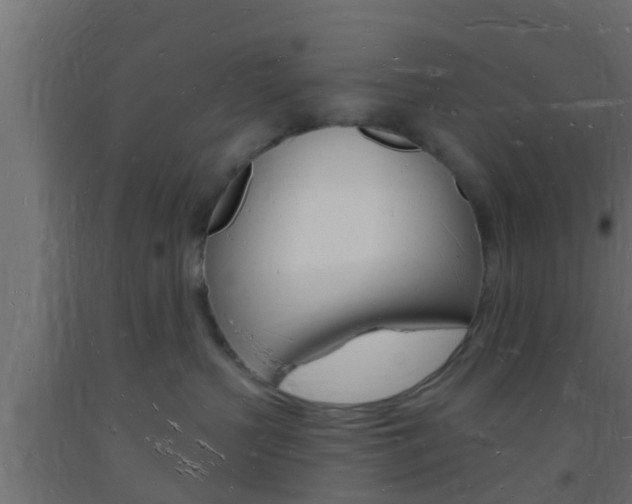 X0000093720383200710160756