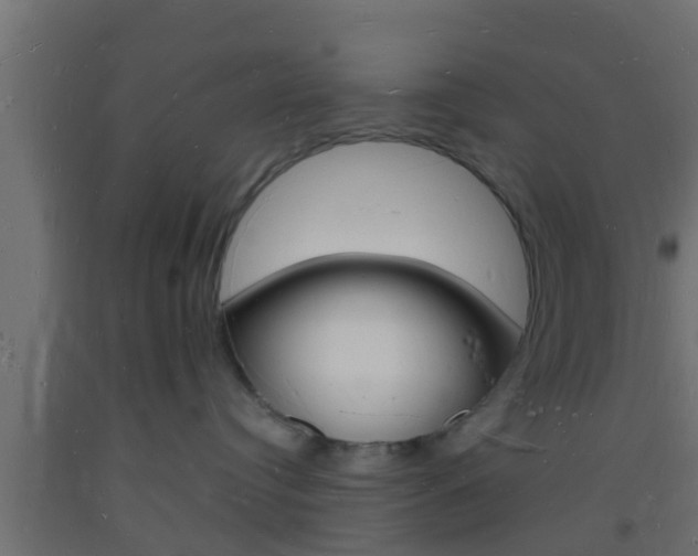 X0000093720384200710160756