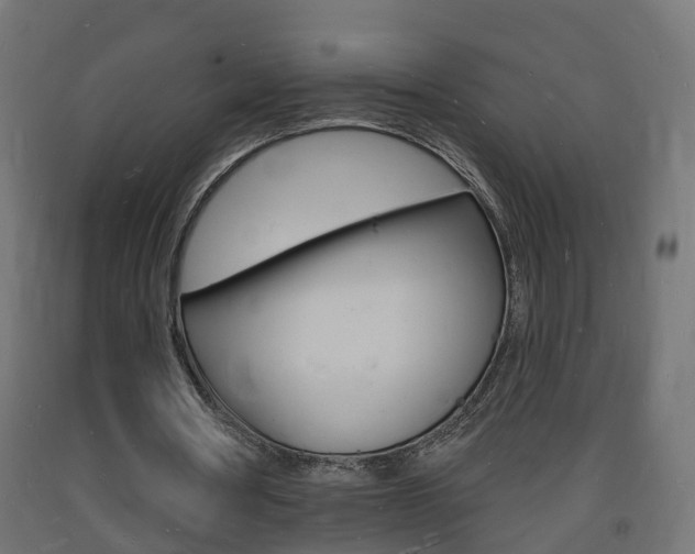 X0000093720386200710160756