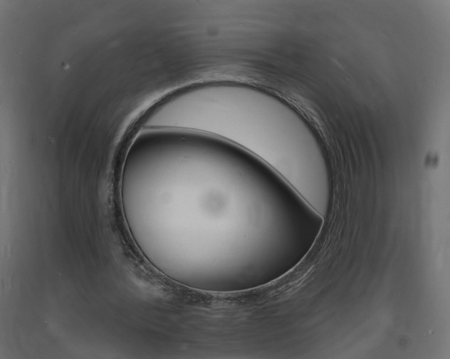 X0000093720388200710160755