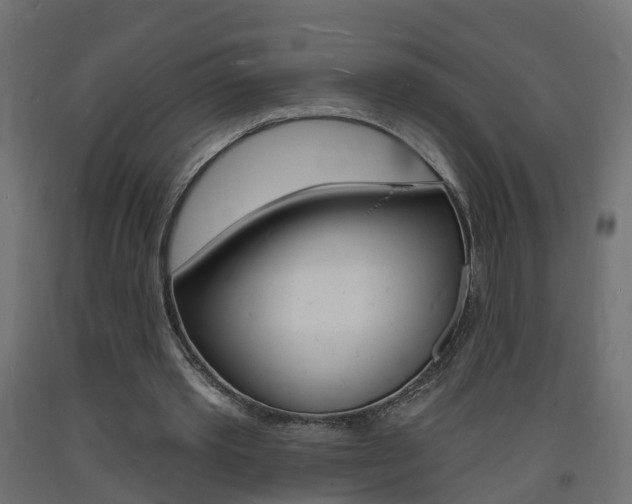 X0000093720389200710160755