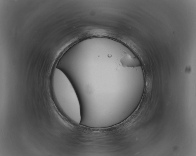 X0000093720390200710160755