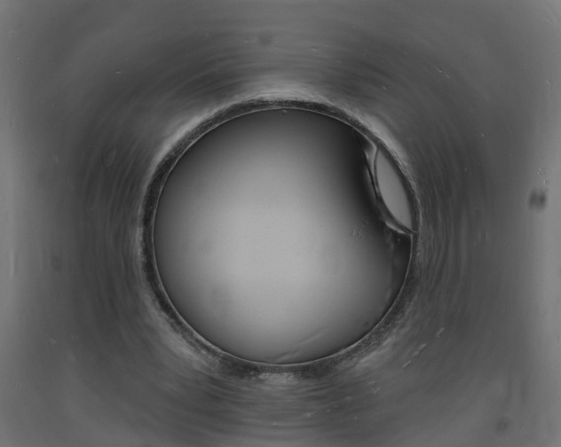 X0000093720391200710160755