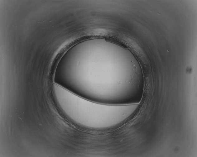 X0000093720392200710160755