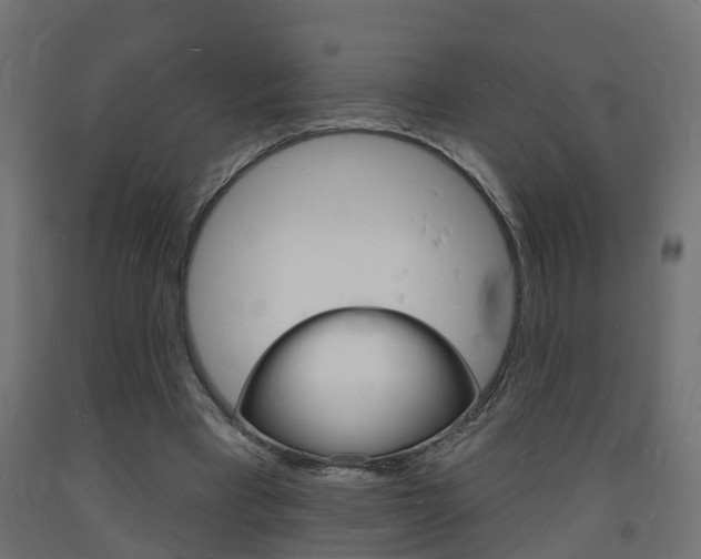 X0000093720393200710160755