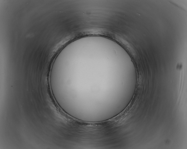 X0000093720394200710160755
