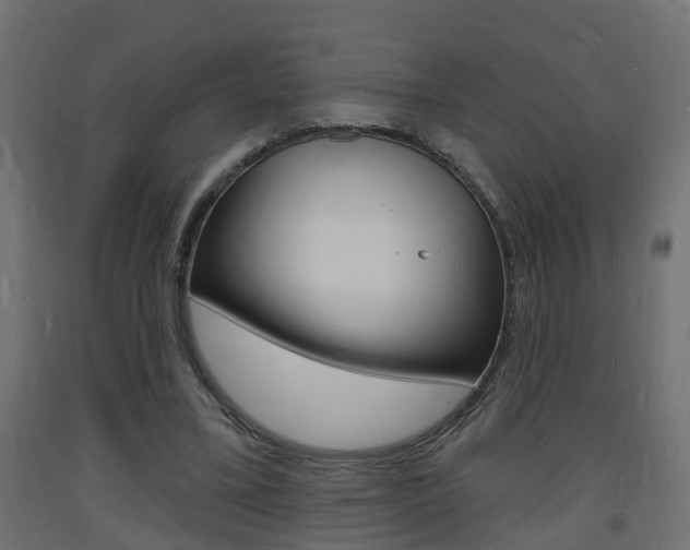X0000093720395200710160755