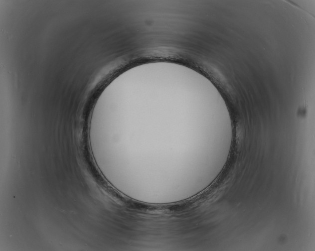 X0000093720396200710160755