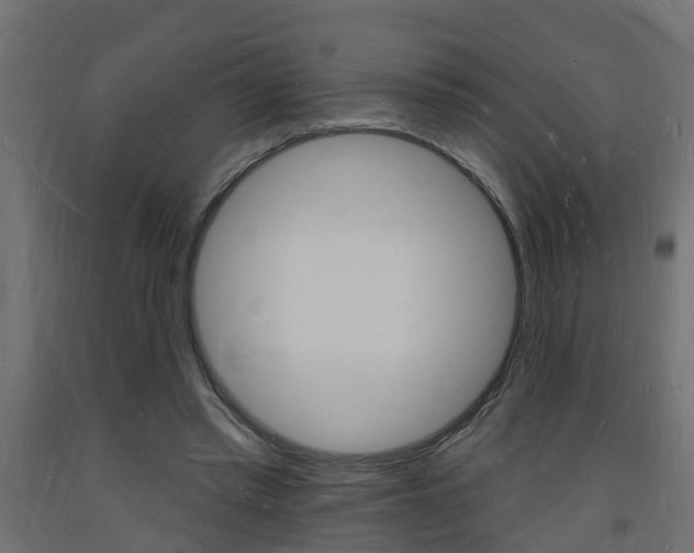 X0000093720397200710160755
