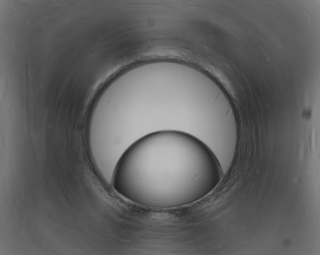 X0000093720399200710160755