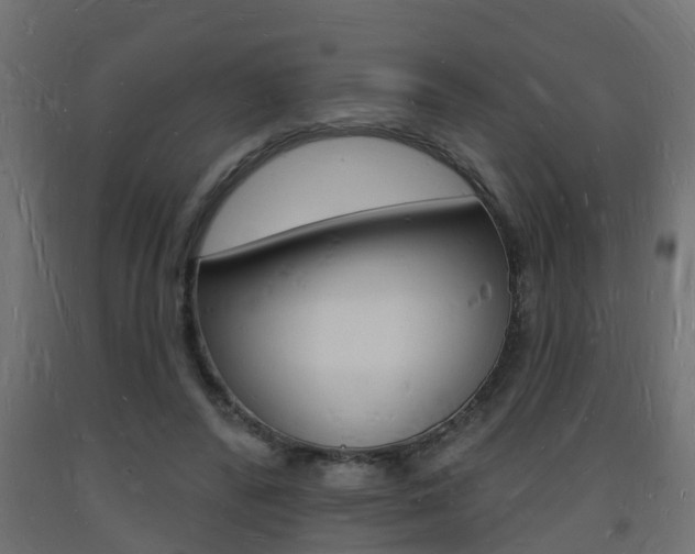X0000093720400200710160755
