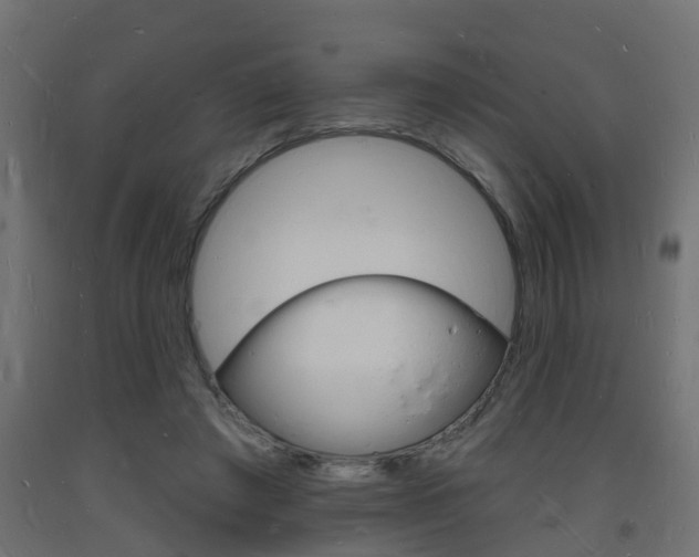 X0000093720401200710160755