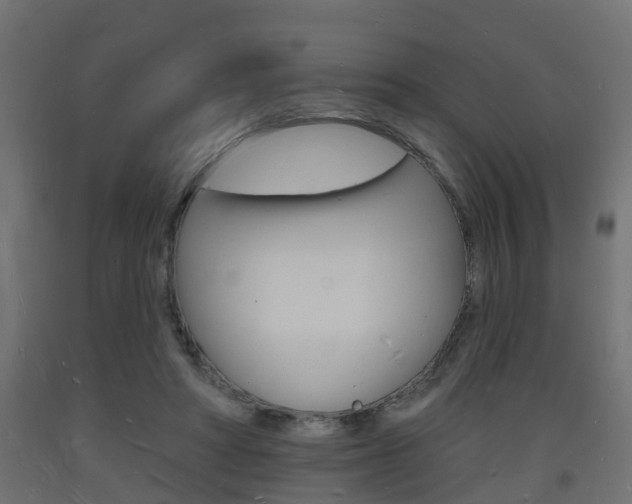 X0000093720402200710160755
