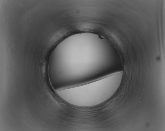 X0000093720404200710160755