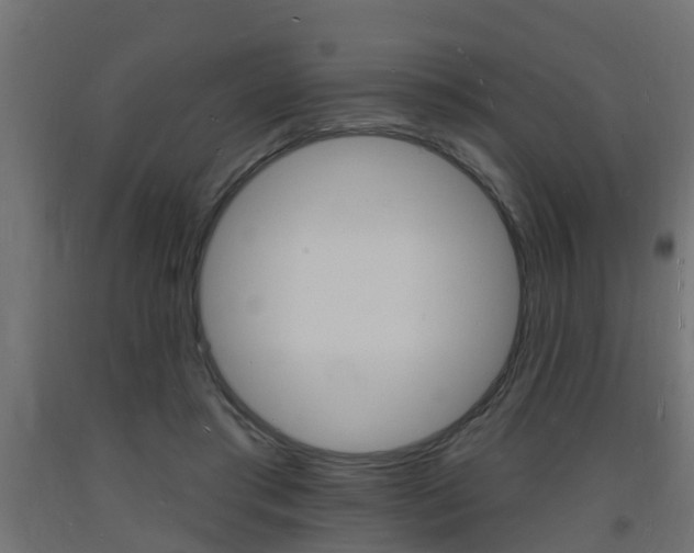 X0000093720405200710160755