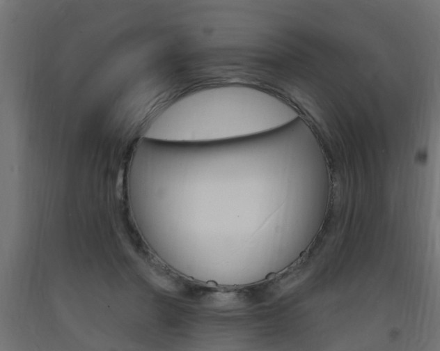 X0000093720406200710160755